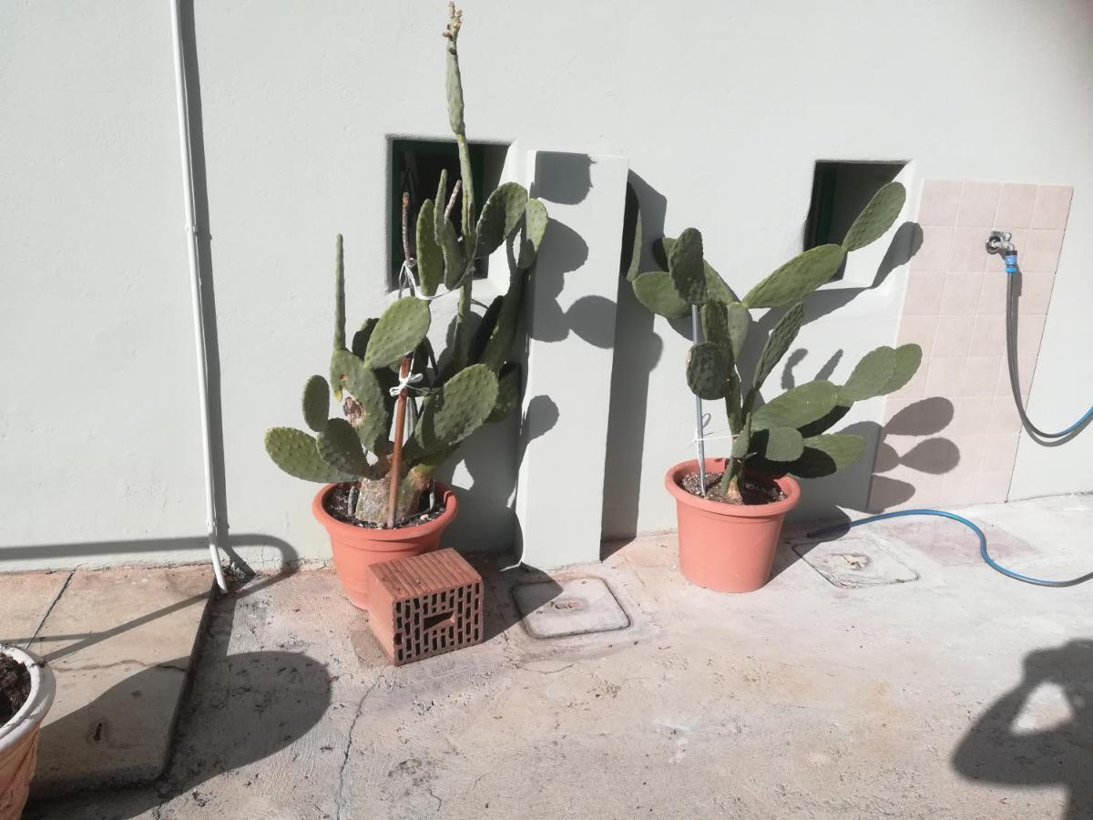 Gorizia Vacanze Appartamento In Villa Con Parcheggio 外观 照片